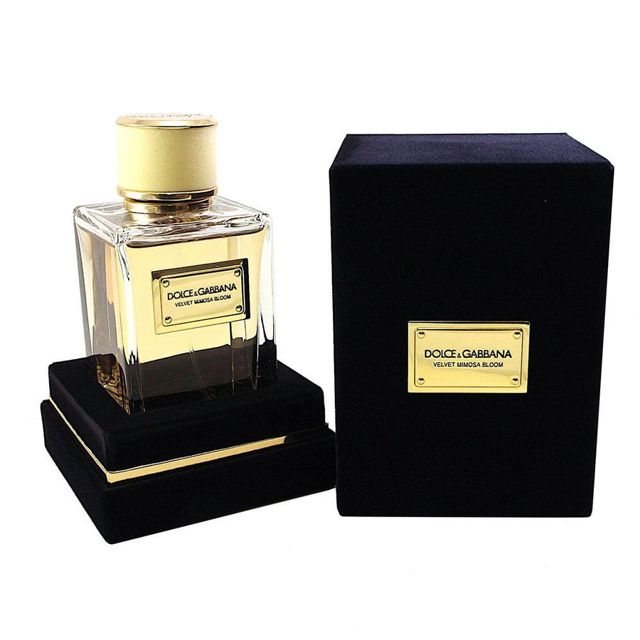 Dolce & Gabbana Velvet Mimosa Bloom